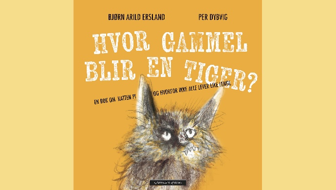 Er dei gamle alltid eldst?