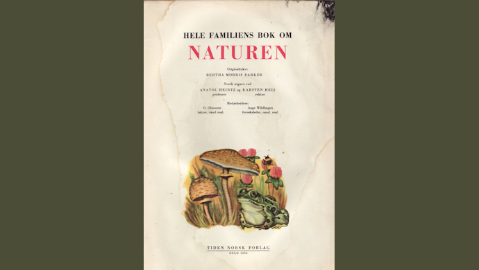 Illustratøren VAR fisken
