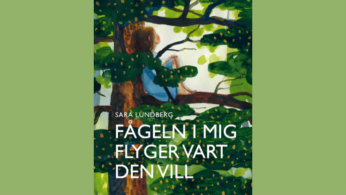 En fugl av leire kan også fly