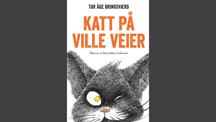 Om å se verden med nye øyne