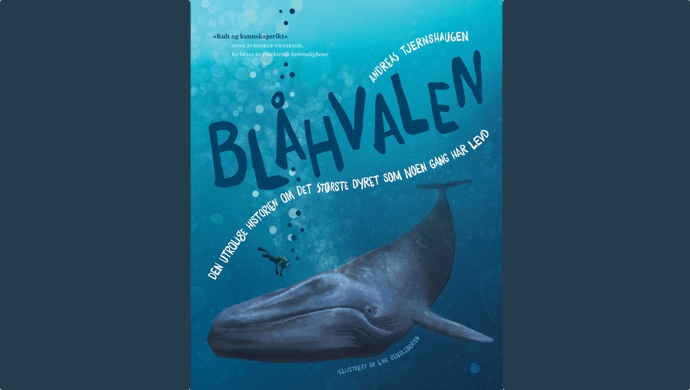 Blåhval er langt mer enn størst