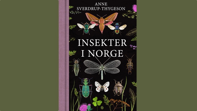 Viktig og oversiktlig om småkryp