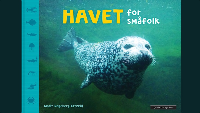 Liv og røre i havet