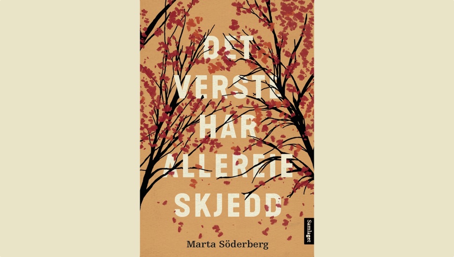 Nydelig bok med svak avslutning