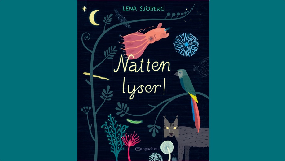 Mer lys enn du aner 