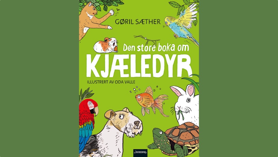 Kosefaktor åtte