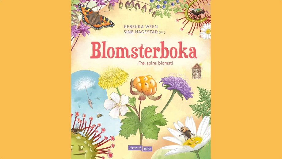Bodskapen når ikkje publikum