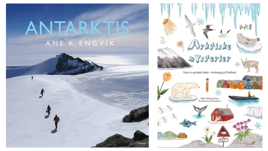 Polarisert barnesakprosa