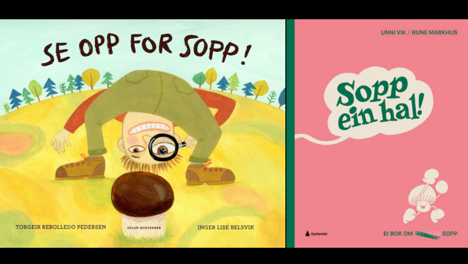 Stort og smått om sopp